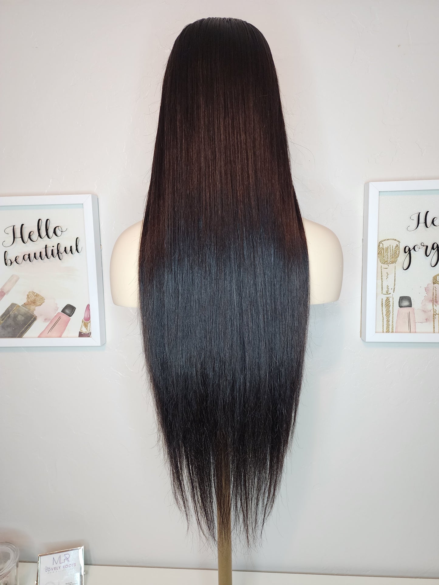 Silky Straight Lace Closure Wig